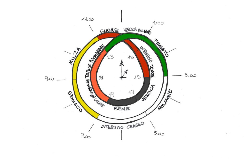 organi e tempo